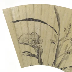 (Detail) Orchideen, Pilze und Felsen